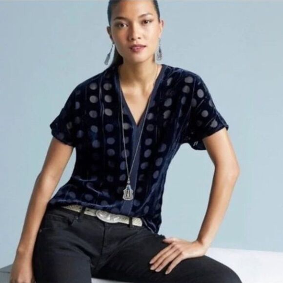 Cabi 3507 Navy Blue Velvet Burnout Spot On Blouse Size Small - Picture 1 of 10
